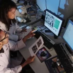 Sapo Tek: Caso de Estudo no Mundo Tecnológico