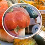 WebP: Um formato que Explora as Suas Características e Aplicações Criativas